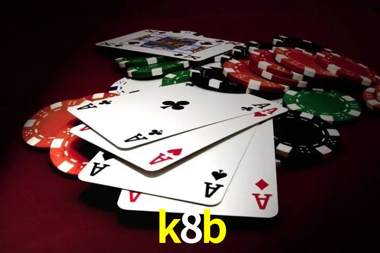 Interface Premium k8b